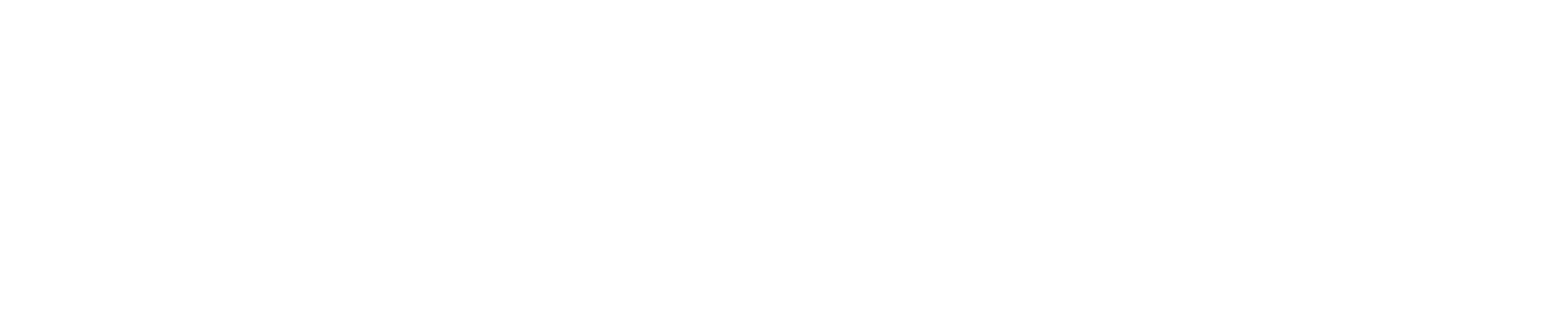 enidma Logo